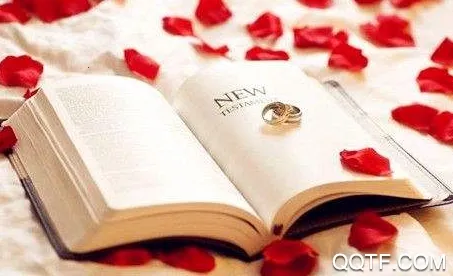 片语2025官方最新版本 片语2025官方最新版本