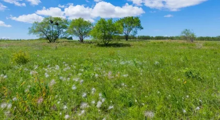 掌尚大庆(本地生活服务) 掌尚大庆(本地生活服务)