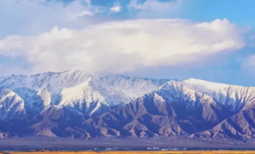 猫印相机安卓版手机版 猫印相机安卓版手机版