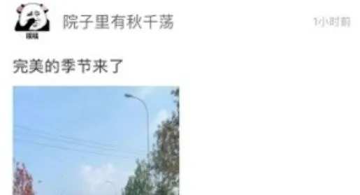 翠翠秀山安卓版手机版 翠翠秀山安卓版手机版