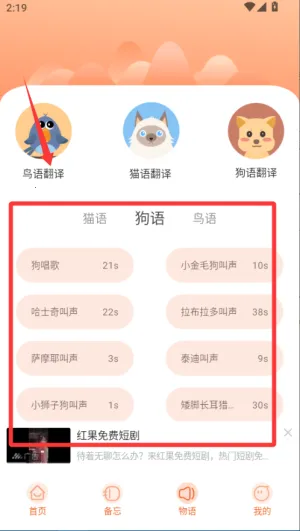 鹦鹉交流器最新手机版 鹦鹉交流器最新手机版