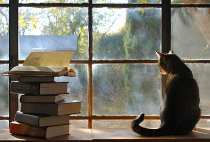 枕阅小说2025官方最新版本 枕阅小说2025官方最新版本