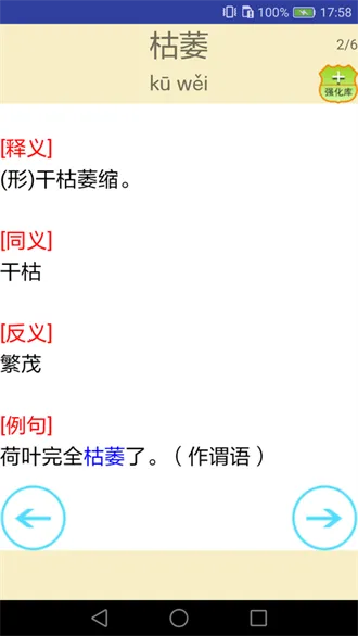 ���ɵ㽲��(����ѧϰ����)