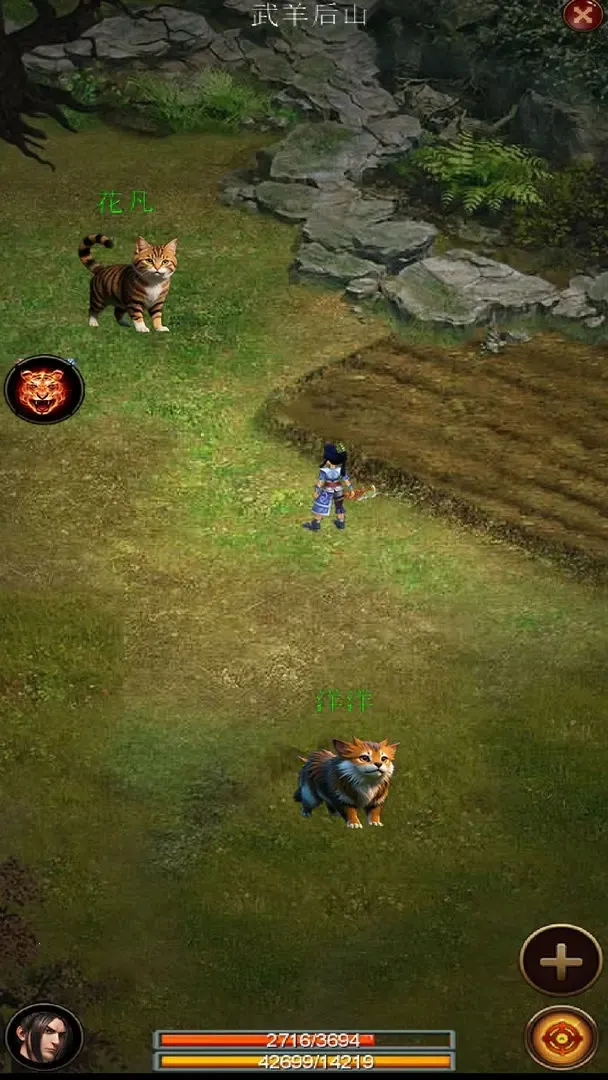 ����֮����2025�ٷ�����