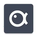 ����������2025�ٷ�����