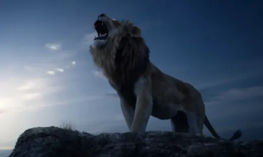 С԰��׷��(Ӱ��׷��ƽ̨)