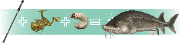 ����˹����ģ����