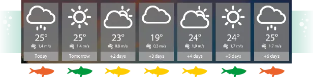 ����˹����ģ����