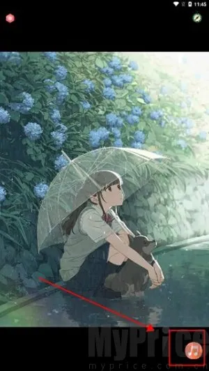 ��ѿ������2025���°汾