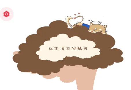 ���������Chic(�����������)