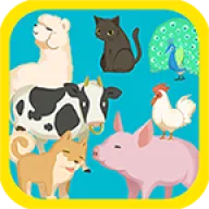 ����԰���ȼƻ�2025�ٷ�����