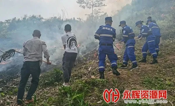 �Ĵ�ɭ��2025�ٷ����°汾