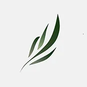 ����С˵(С˵�Ķ�����)