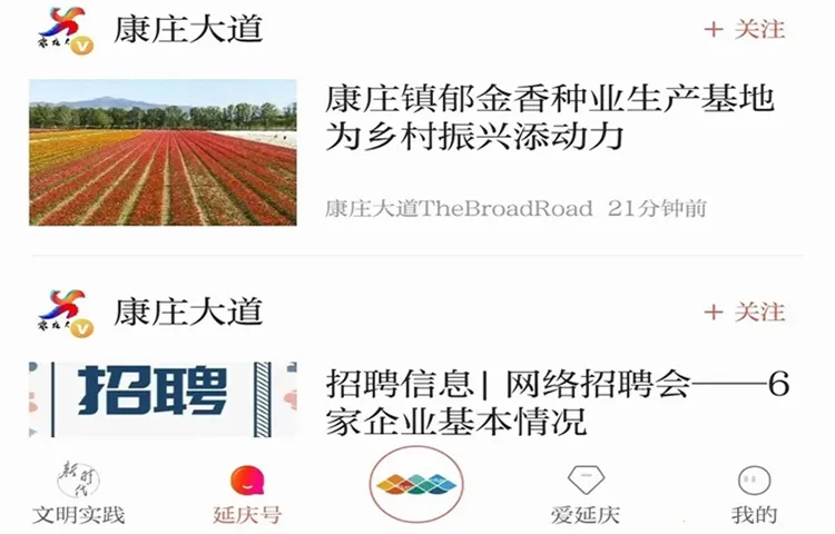 �������������ֻ���