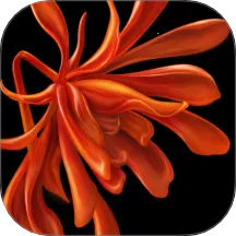 �ܼ�(��ʽ�鱦����ƽ̨)