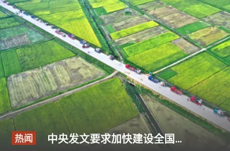 ÿ�����2025���°汾