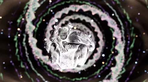 ��ϸ��������������ֹ��(�������ģ����Ϸ)