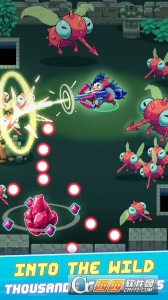 ��Ұǹ��2025�ٷ����°汾