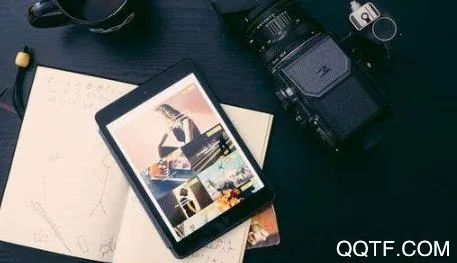 chic�������(�ֻ���������)