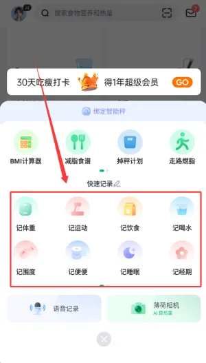 ���ɽ���(������������)