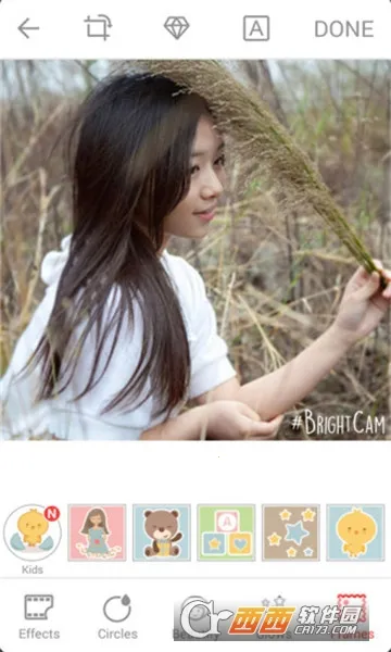 ���ձ༭���2026���ذ�װ