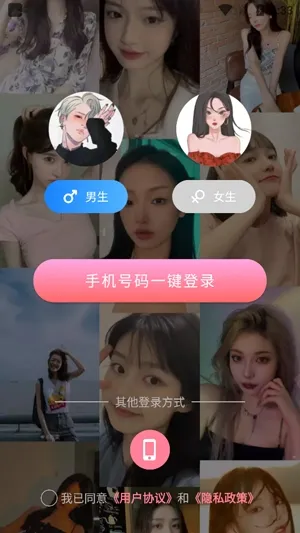 ��������������2026�ٷ�����