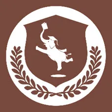 ����ͨ��׿���ֻ���