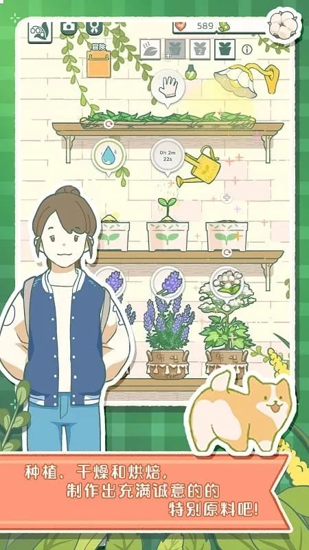 ���Ĳ���