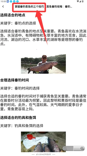 Ȥ����2026���ذ�װ