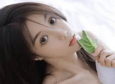 ��������2026���°汾