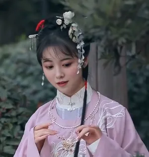 FacePlay��װ��Ƶ