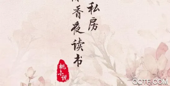 ��С˵�����ֻ���