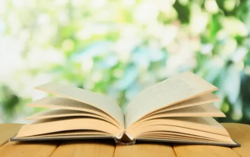 �ո�С˵�����ֻ���