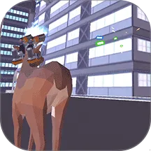 ¹�ĳ�������2026���ذ�װ