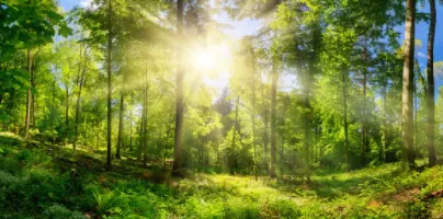 �Ӷ�����2026���°汾