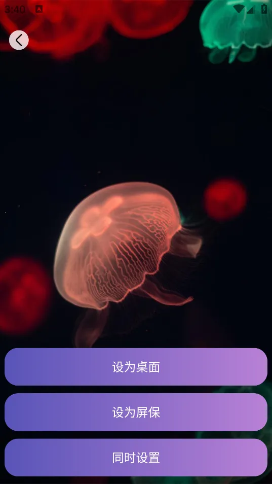 ����δ��