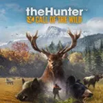 ����Ұ�Եĺ�����׿���ֻ���