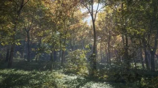 ����Ұ�Եĺ�����׿���ֻ���