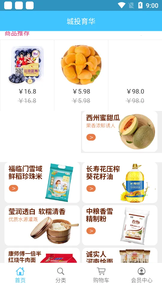 ��Ͷ����