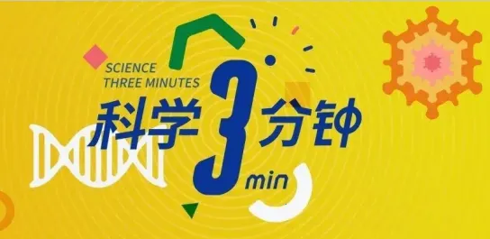 ����԰2026���°汾