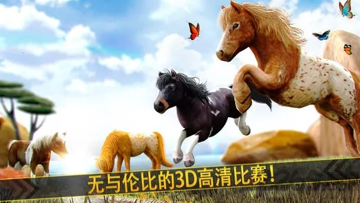 �����п�