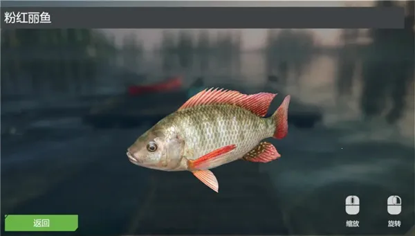 �ռ�����ģ����