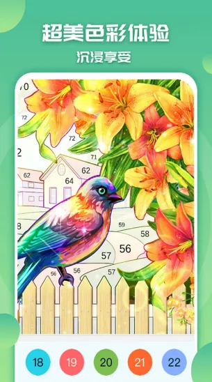 ��ɫ���С���������ֻ���