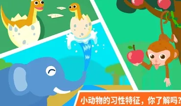 ������԰2026���°汾