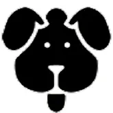 ��������������2026���°汾