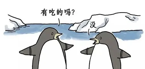 ��ʱ��2026���°汾