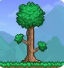 ̩������wiki