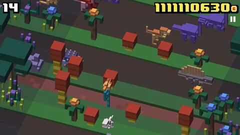 �������·����