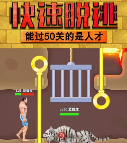 ����������2026���ذ�װ