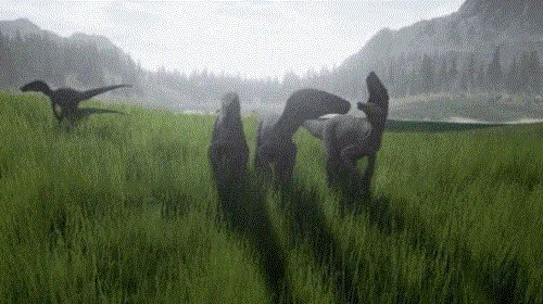 ��������������2026���°汾